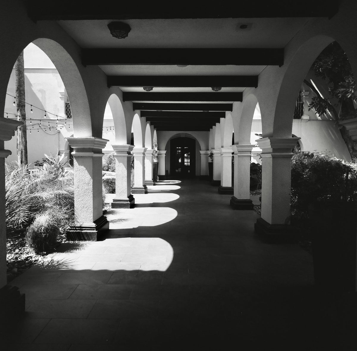 Fotos de muestra de película Rollei Superpan 200 BW