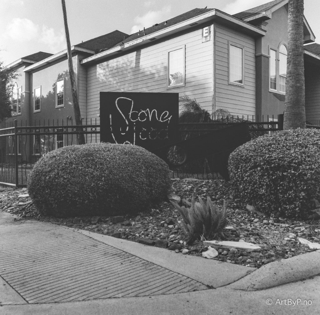 CatLABS X320 Pro BW Film Sample Photos