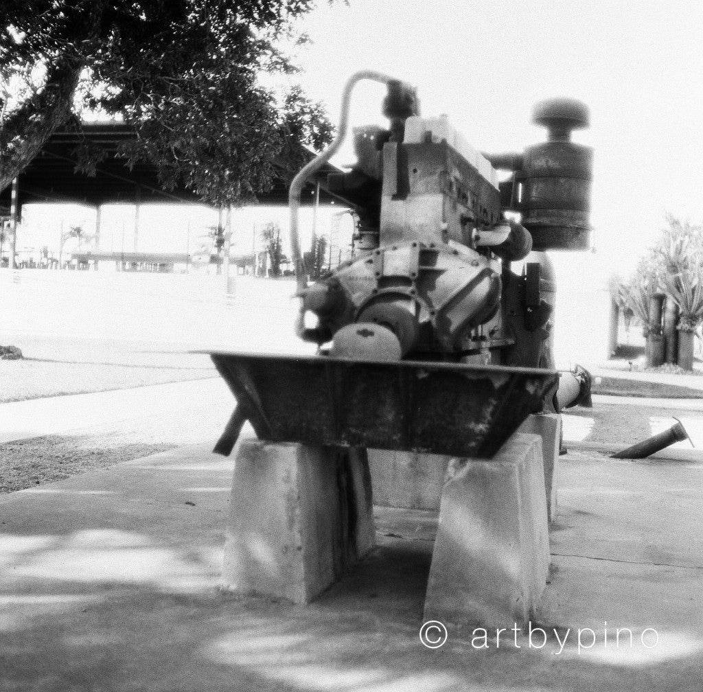 Fotos de muestra de la Film Washi F 100 en blanco y negro