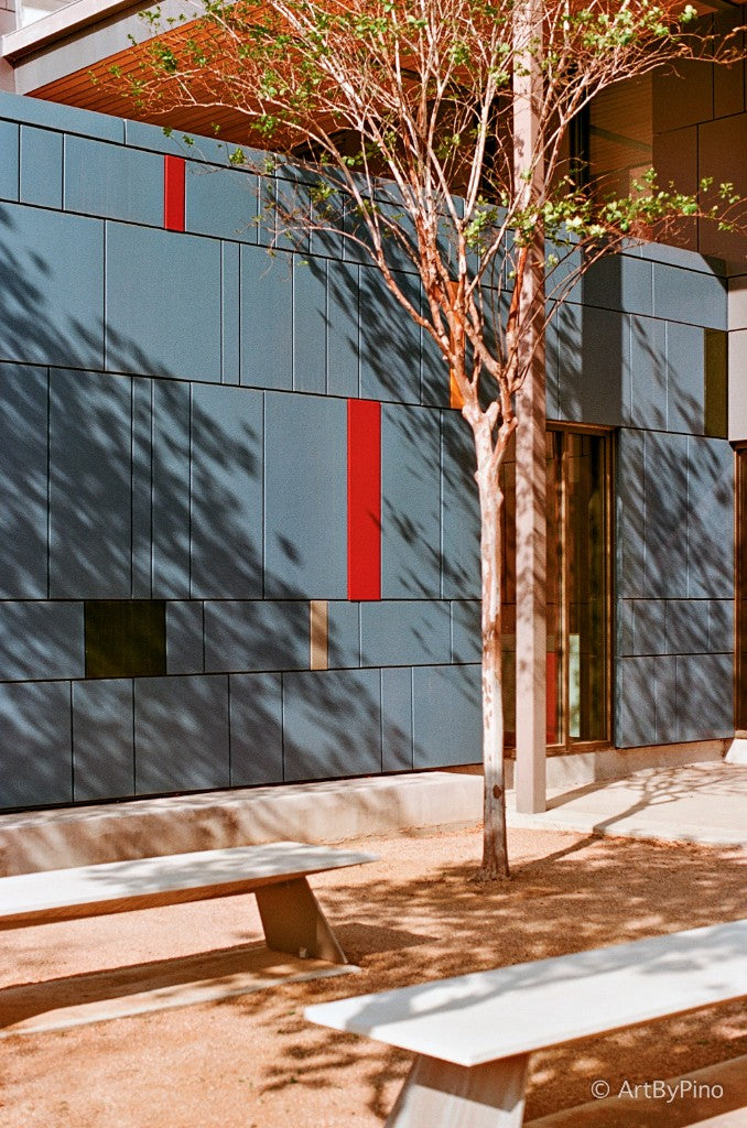 Gray color-panel wall, tree, and courtyard benches, UTRGV Performing Arts Center, Edinburg, Texas — Flic Film Elektra 100 35mm, Pentax K1000