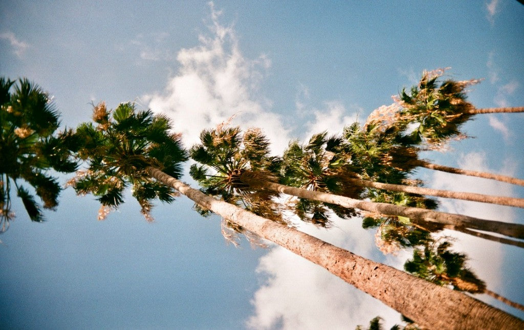 Fotos de muestra de la película en color Fujifilm Fujicolor Superia X-tra 400