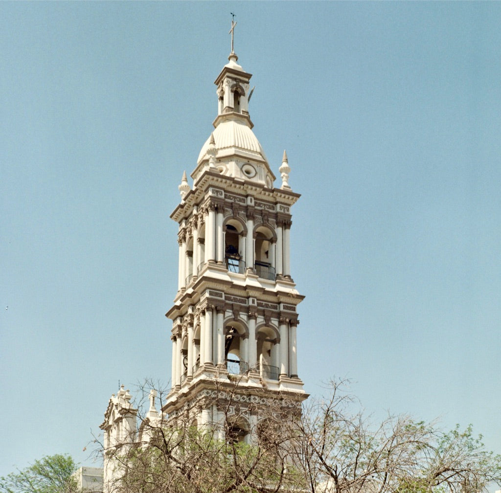Muestras fotográficas de película negativa en color Lomography ISO 100