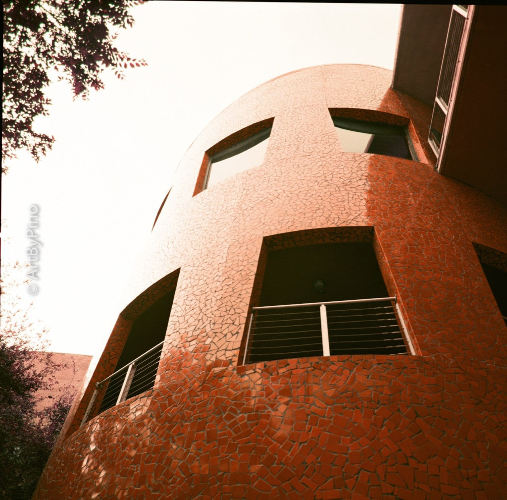 Fotos de muestra de la película Lomography LomoChrome Purple 400