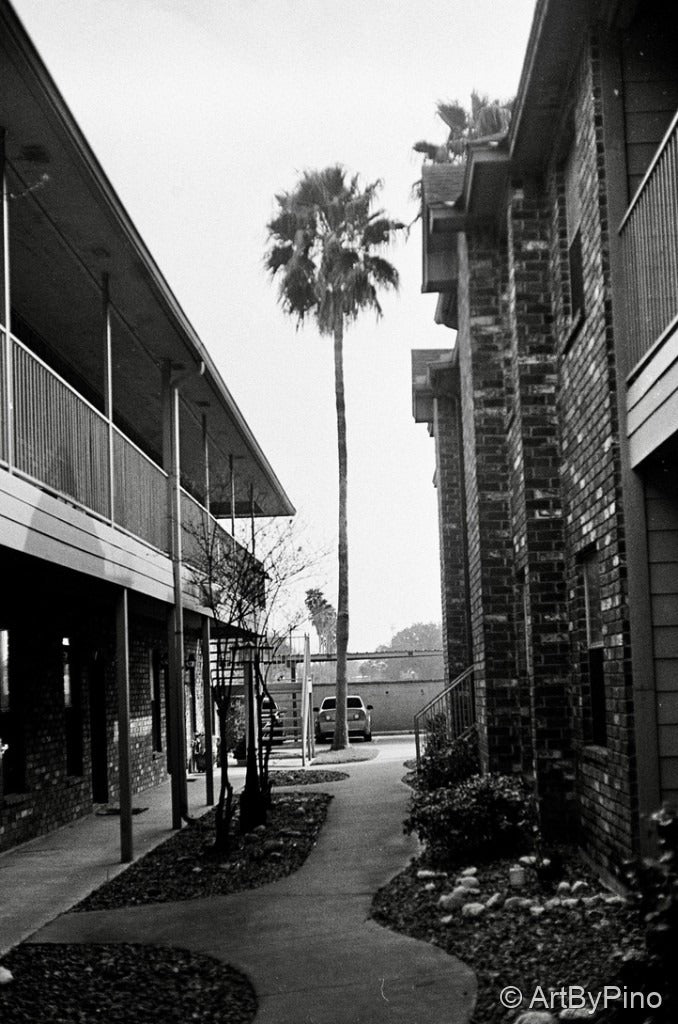 Fotos de muestra de película ORWO Wolfen NP100 100 BW