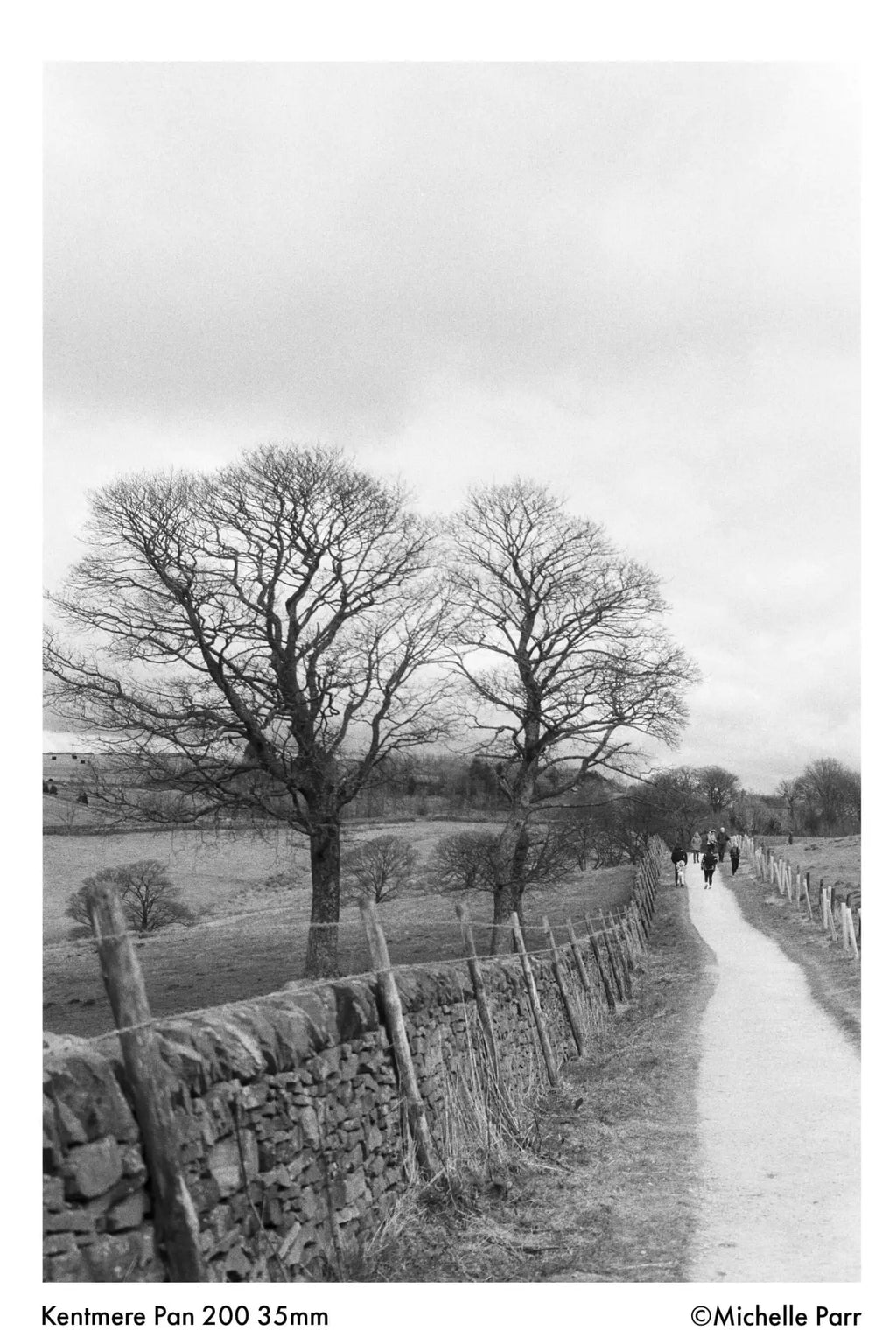 This is a black-and-white photograph capturing two leafless trees standing beside a stone wall and a dirt path, with distant figures walking along the trail under an overcast sky.