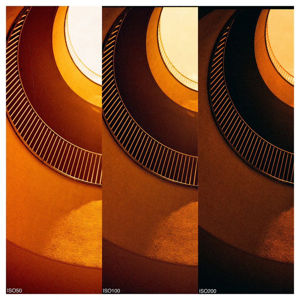 Reflx Lab Diablo 100 Red Scale Film 35mm 36 Exp 12/2028 - photo 6
