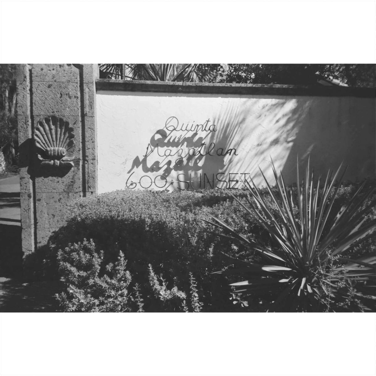 Black and white image of a wall sign reading 'Quinta Mazatlán' surrounded by desert plants.