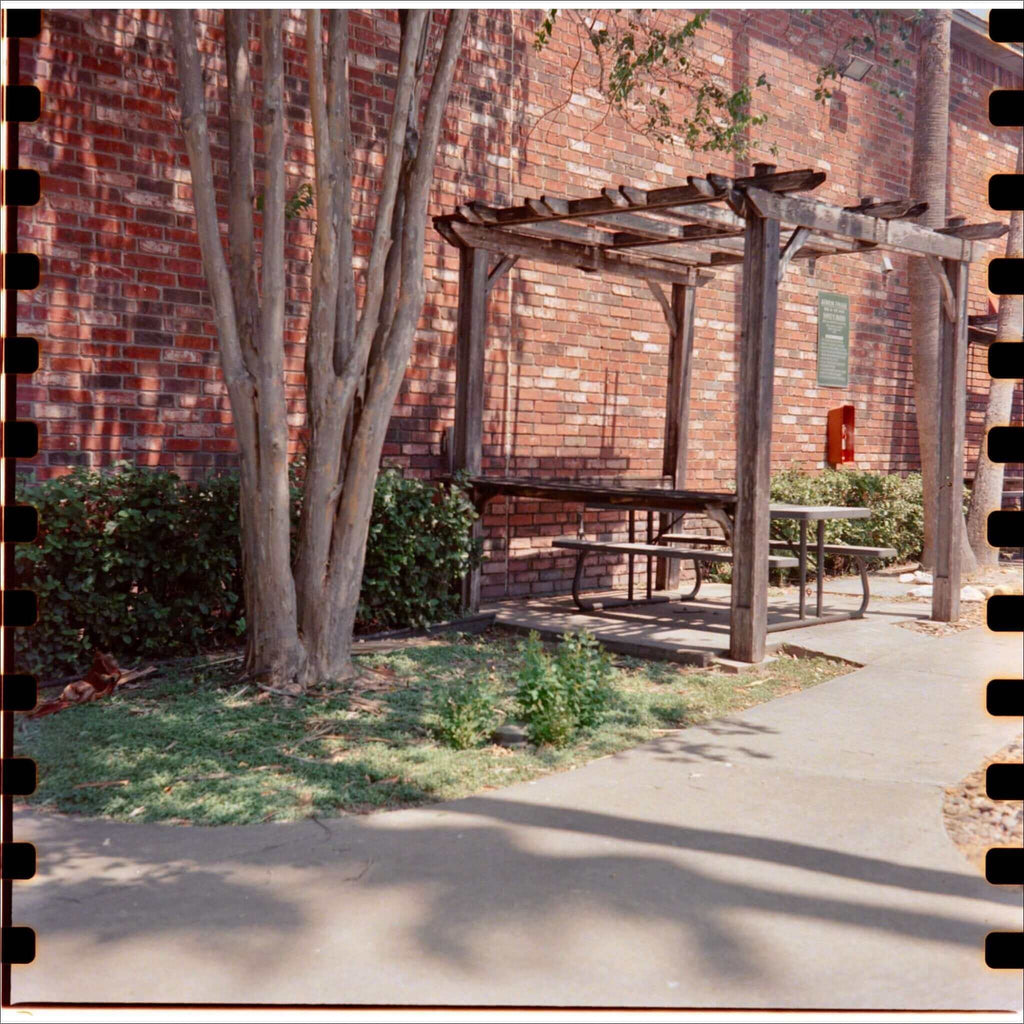 Outdoor wooden pergola with picnic table and trees beside a brick wall.